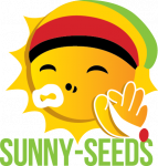 Sunny-seeds